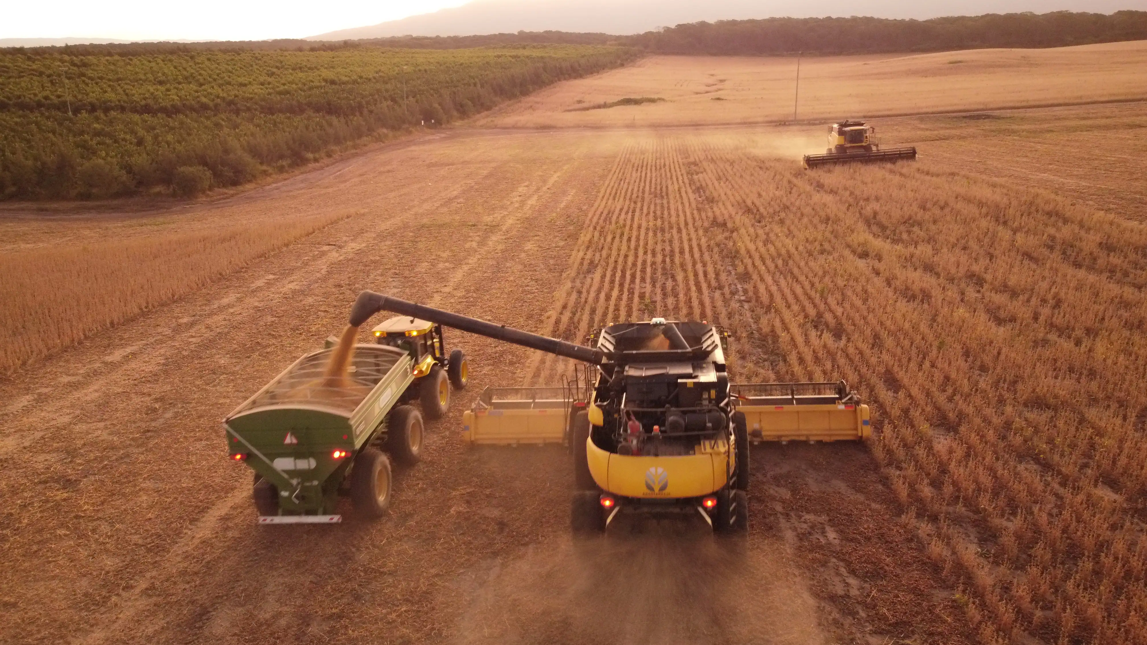 Equipamiento para cosecha